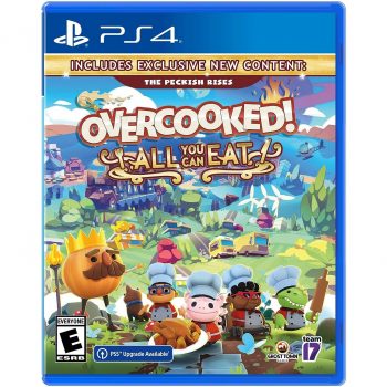 Overcooked! All You Can Eat